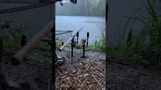 CARP RUNS  Delkim Txi D meltdown fishing carpruncompilation carpfishing [upl. by Giffie]