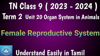 Female Reproductive System Class 9 Science Term 2 Unit 20 Organ Systems in Animals [upl. by Voss]