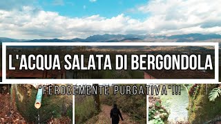 Scopriamo la LUNIGIANA  la fonte di acqua SALATA di Bergondola quotFEROCEMENTE purgativaquot [upl. by Issi292]