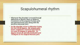 Scapulohumeral Rhythm [upl. by Rafaellle]