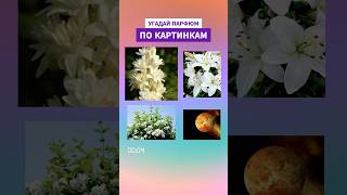 ВСЕ УГАДАЛИ ЭТОТ ПАРФЮМ ПО КАРТИНКАМ ДЕЛИТЕСЬ В КОММЕНТАРИЯХ 🫶🏻 [upl. by Annahtur]