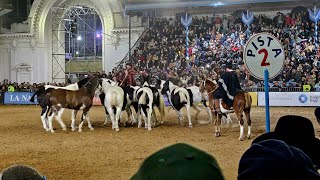 Expo Rural Palermo 2024  Tropillas Entabladas ovacion del publico [upl. by Ycats]