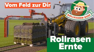 Wie der Rollrasen von den Feldern zu dir nach Hause kommt  Rudis Ernte [upl. by Finstad]