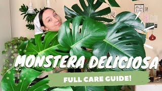 MONSTERA DELICIOSA CARE  PROPAGATION  indoor swiss cheese plant care [upl. by Shaya]