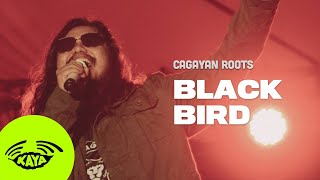 Cagayan Roots  quotBlackbirdquot by Fat Freddys Drop w Lyrics  Kaya Sesh [upl. by Aileen177]