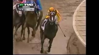 Haskell Invitational Stakes 2009  Rachel Alexandra [upl. by Johansen]