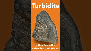 Sedimentary Turbidite Rock IDd [upl. by Arelc346]