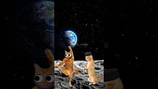 Kucing lucu gamau sunat cat shortvideo kartun funny animation shorts [upl. by Otrebliw]