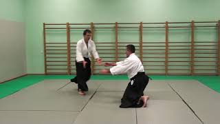 Hanmi Handachi Waza Ryote Dori Kokyu Nage [upl. by Gabey]