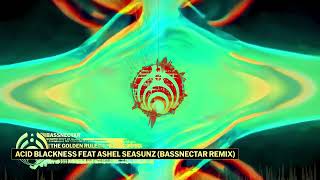 Bassnectar  Acid Blackness ft AshEL Seasunz Bassnectar Remix [upl. by Dorman]