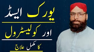 Uric Acid aur Cholesterol ka ilaj by Hakeem Muhammad Akhlaq [upl. by Leumek]