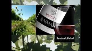 Descubre las bodegas Raimat [upl. by Min661]