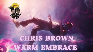 Chris Brown  WE Warm Embrace Reaction [upl. by Roddy]