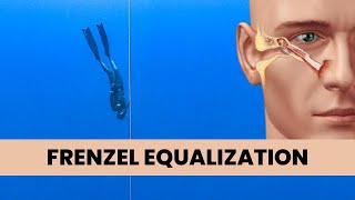 COMPLETE Guide For Frenzel EQ  Freediving Equalization For Beginners [upl. by Acemahs409]