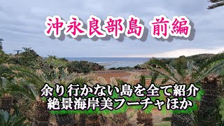 【あまり行けない島 沖永良部島】前編 和泊 沖永良部島 ソテツ ガジュマル フーチャ 潮吹き穴 ワンジョビーチ 民宿司 笠石海浜公園 [upl. by Ellehcram]