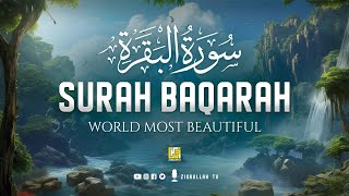 Surah Al Baqarah Full سورة البقره  Relaxing Calming amp Heart Touching Quran  Zikrullah TV [upl. by Trinee]