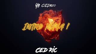 Ced Ric  Intro Maya  Blackpower [upl. by Palmira]