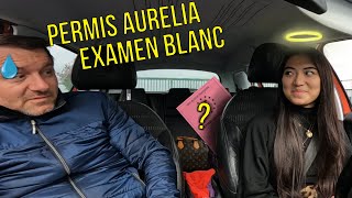 Le Permis dAurélia Examen blanc du permis de conduire [upl. by Yelkrab774]