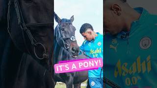 😍😍😍 Savinho is absolutely obsessed with ponies 🐴 mancity savinho horse [upl. by Neeloj270]