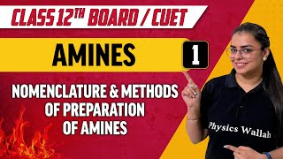 Amines 01  Nomenclature amp Methods of preparation of Amines  Class 12thCUET [upl. by Nosreffej979]