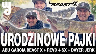 Duże szczupaki w urodziny wędka Beast X wedkarskiedylematy beastx multiplikator szczupak [upl. by Harak]