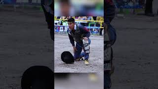 Banda La Jaripera  El Gavilancillo bandajaripeo caballos mexicanmusic toros [upl. by Dnarud]