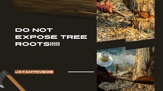 ઝાડ ના મૂળ ખુલ્લા ન કરવાgardening treelovers socity tree roots savetrees year summer [upl. by Miles]