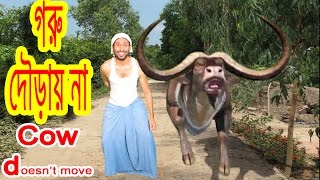 cartoon cow 🐮 fun run 🐄 chili peppers 🌶 New Bangla Funny Video 😀 DrLony [upl. by Aiynot213]