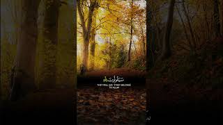 Al Quran shortsbeautifulrecitation viraltrending [upl. by Fischer530]