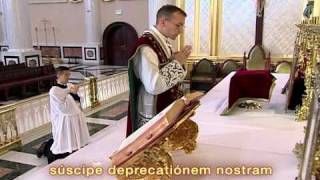 FSSP Video on Traditional Latin Mass Part 13 [upl. by Crane888]