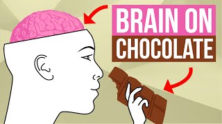 Your Brain On Chocolate [upl. by Malissia479]