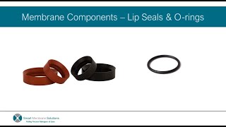 Membrane Component Seals  Orings vs Lip Seals [upl. by Ernestus898]