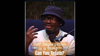 Self segregation diversity lilrel chicago clannish [upl. by Dorrie]