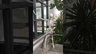 Skeletons getting their workout at the YMCA [upl. by Morley]