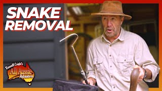 Russell Coight Teaches You How To Get Rid Of Snakes  All Aussie Adventures [upl. by Thedric133]