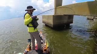 Can’t believe I caught this fish Kayak fishing Oriental NC [upl. by Cammi]