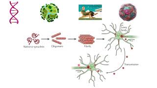 CNS Pharmacology21 antiparkinson Drugs part 2 [upl. by Aredna974]