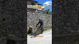 Divertirsi in bici a cinquant’anni😅mtb shortvideo enduro gopro rockymountain short shorts [upl. by Kcirddec934]