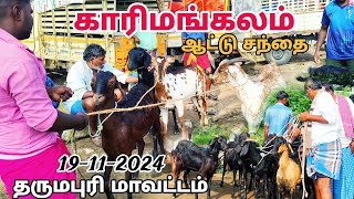 goat market karimangalam ஆட்டு சந்தை காரிமங்கலம் சந்தை தருமபுரி மாவட்டம் [upl. by Zevahc]