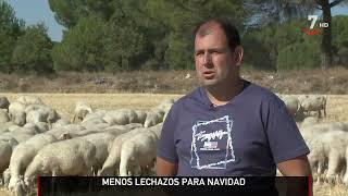 🐑 Menos LECHAZOS en NAVIDAD y MÁS CAROS 🎄 [upl. by Marybella404]