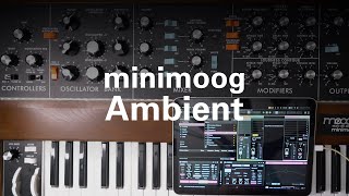 Minimoog ambient [upl. by Sudnac]