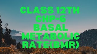 Class 12th Basal Metabolic Rate BMR  Meaning amp How To Calculate BMR [upl. by Fanya831]