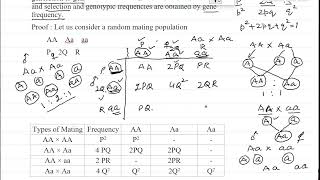 Random mating population Lecture 4 part 3 [upl. by Amaty512]