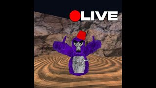 Playing VR With Viewers [upl. by Attikram]