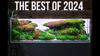 The Best Aquascape Of 2024 [upl. by Ytram317]