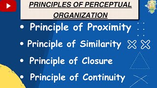 Perceptual organisation  Principles of Perceptual organisation  Class 11 Psychology Chapter 5  ob [upl. by Ybrad]