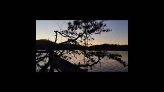 Jen RN and Mark lakeside at Paintsville Lake State Park KY [upl. by Aralc886]