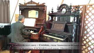 Waňaus18371893  Choral from “HarmoniumSchule op20” on a PACKARD parlor organ1905 [upl. by Ennailuj878]