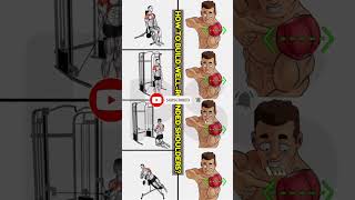 how to build well rounded shoulder workout shorts short workout fitness [upl. by Staw239]