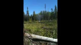 20lb Propane tank explosion with shotgun [upl. by Odraleba513]